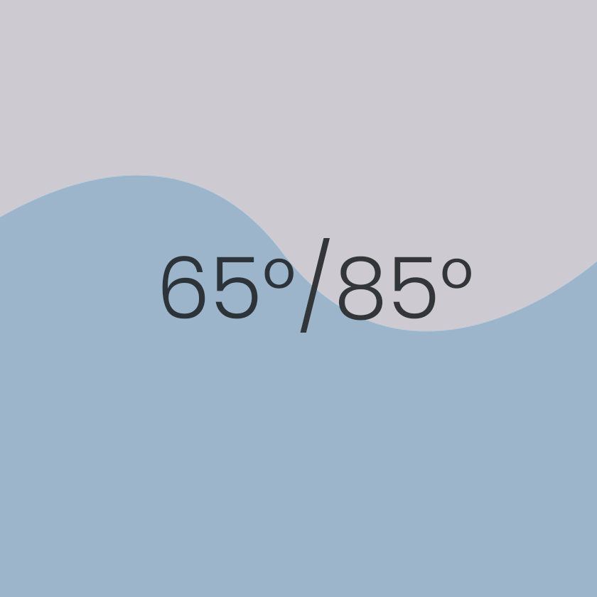 Image And Text 840X840 Temperature2