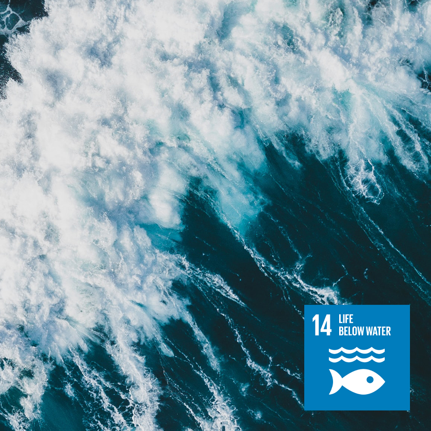 Image And Text 840X840 Sdg 14