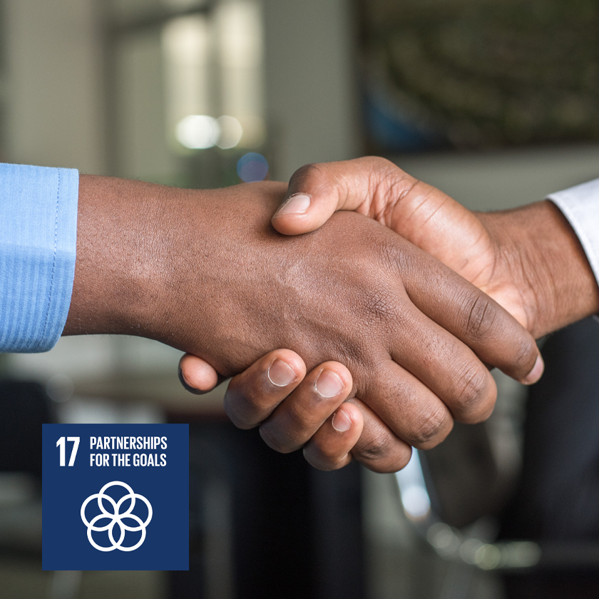 Image And Text 840X840 Sdg 17