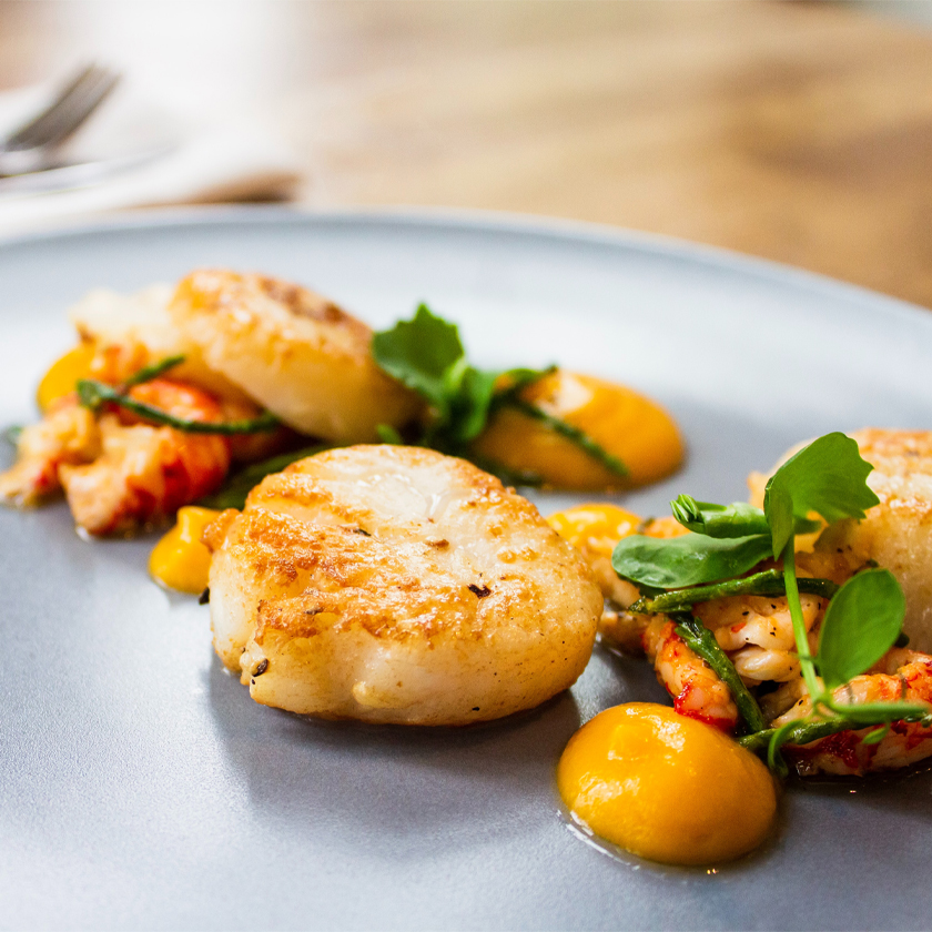 Image And Text 840X840 Food